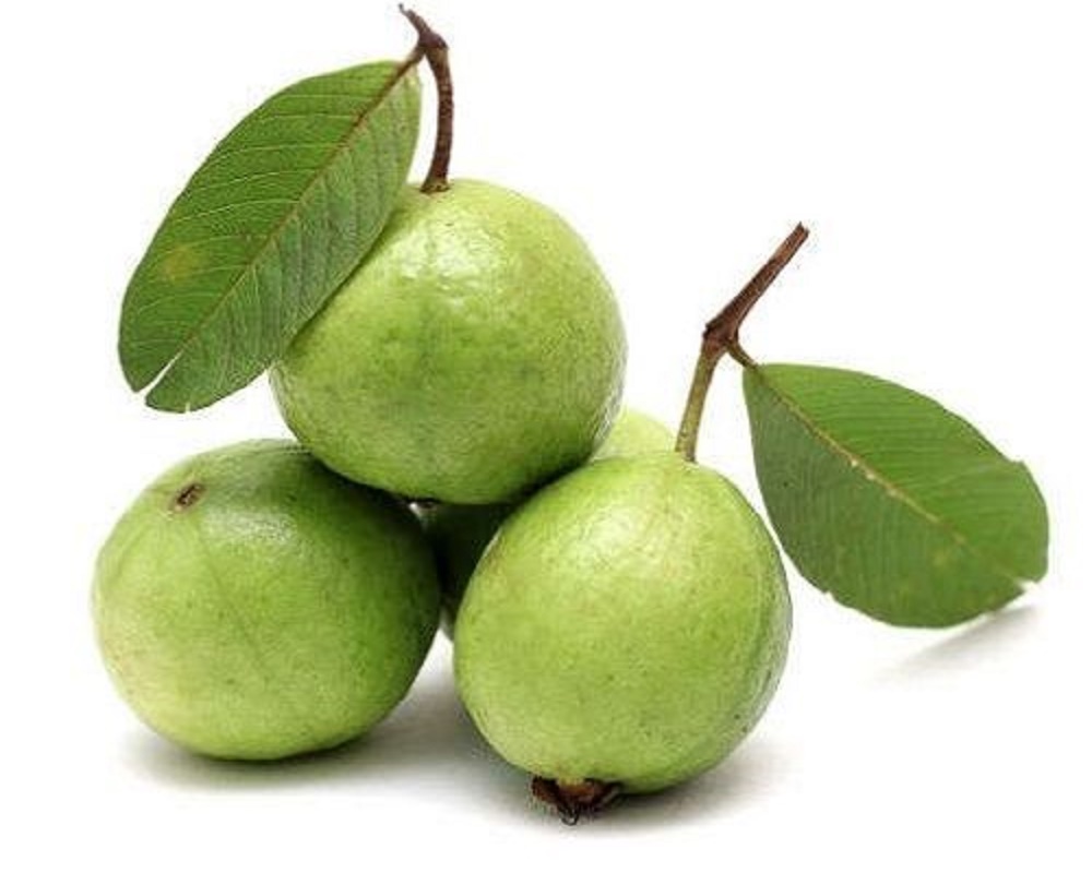 Guava