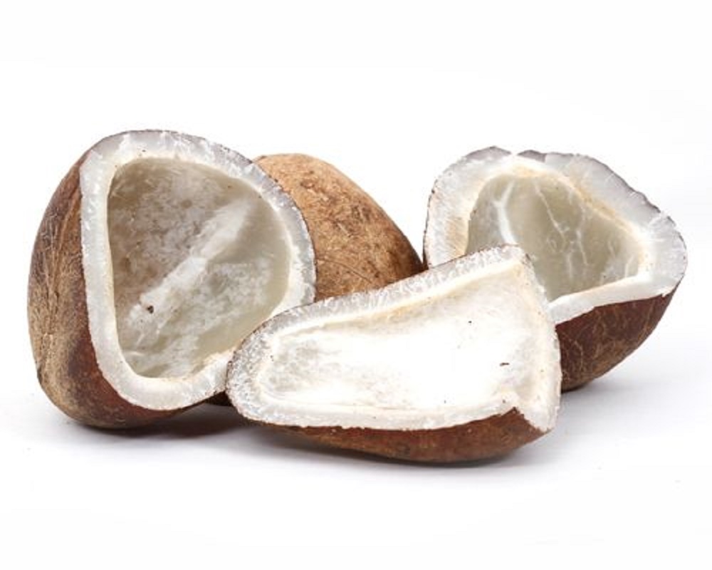Dry Coconut