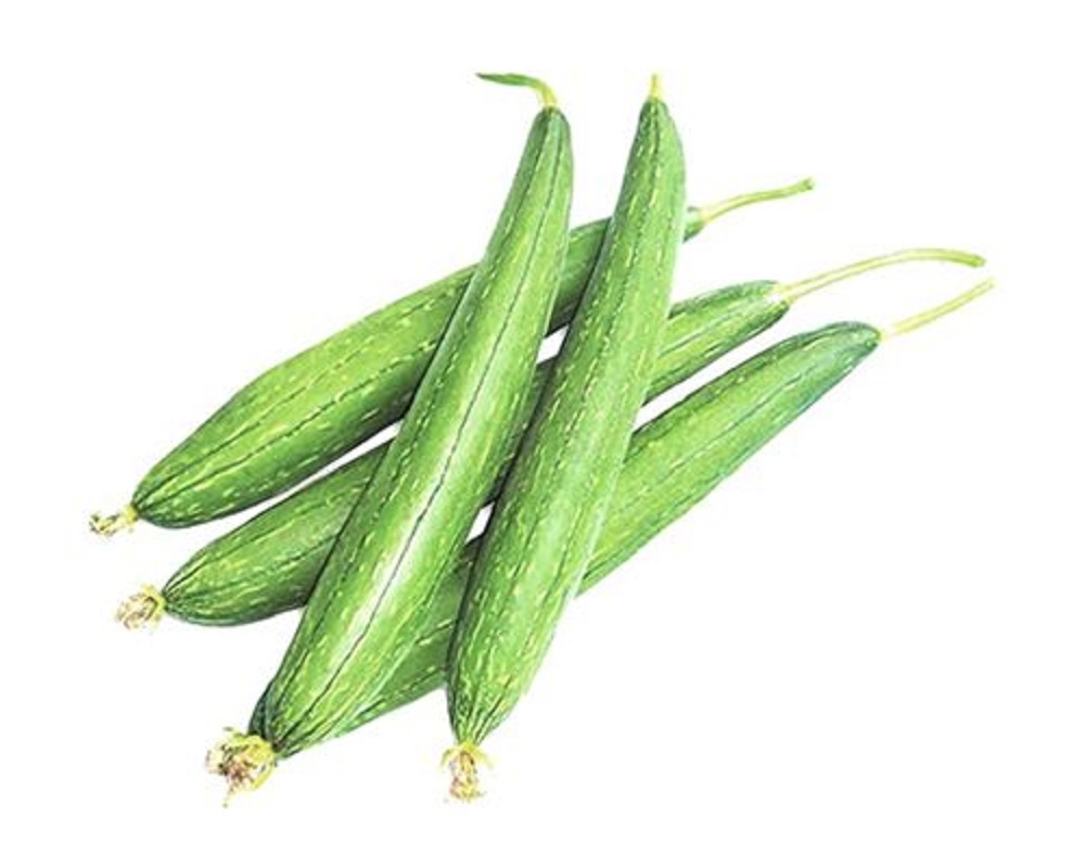 Sponge Gourd