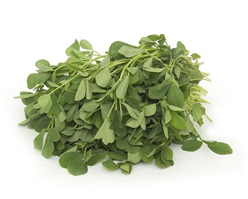 Fenugreek